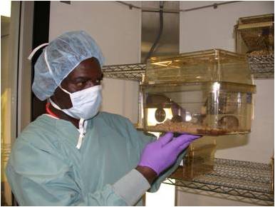 Assistant Animal Laboratory Technology | TCAT Memphis